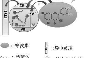 用于啶蟲脒檢測的光電化學(xué)傳感器的構(gòu)建方法和檢測方法