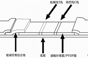 基于點(diǎn)擊化學(xué)的檢測試紙條、檢測方法和應(yīng)用