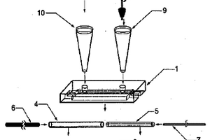 毛細(xì)管電泳與流動注射通用型電化學(xué)發(fā)光流通檢測池