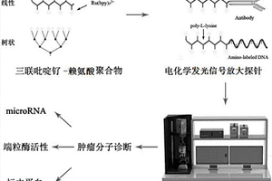 運(yùn)用電化學(xué)發(fā)光成像識(shí)別技術(shù)的生物標(biāo)志物檢測(cè)方法