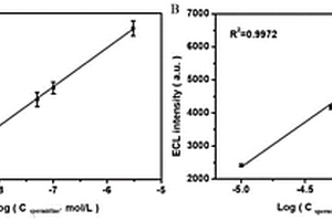 基于石墨烯電極的亞精胺電化學(xué)發(fā)光檢測(cè)法