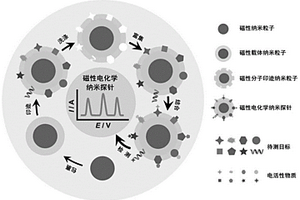 磁性電化學(xué)納米探針的檢測(cè)方法