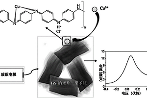 用于痕量銅離子檢測的TiS2納米片-聚苯胺基電化學(xué)傳感器的制備方法及其應(yīng)用