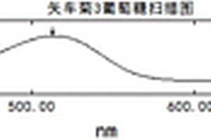 黃酮類(lèi)化合物的毛細(xì)管電泳電化學(xué)發(fā)光檢測(cè)方法