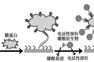 糖蛋白的電化學(xué)適體檢測(cè)方法