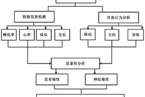 基于斑馬魚行為的化學(xué)品毒性檢測方法