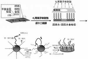 用于食源性微生物檢測(cè)的微液滴電化學(xué)傳感器及制備方法