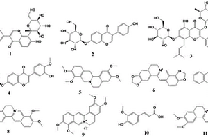 利用生物表面活性劑提取和檢測(cè)養(yǎng)心氏片中化學(xué)成分的方法及其應(yīng)用