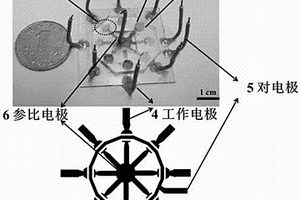 用于檢測細(xì)菌的陣列式多重電化學(xué)恒溫?cái)U(kuò)增芯片及其制備方法