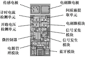 電化學間質(zhì)液提取肌肉疲勞檢測與電調(diào)控方法及裝置