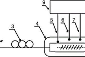 電化學(xué)等離子體共振光纖生物膜電活性檢測(cè)系統(tǒng)及方法