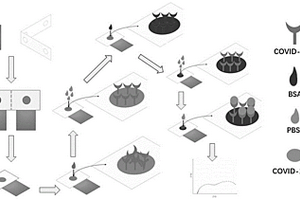 用于檢測新型冠狀病毒抗原的三電極體系電化學(xué)傳感器