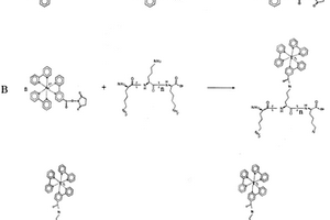 基于聚合物電化學(xué)發(fā)光信號(hào)放大的核酸檢測(cè)方法