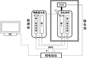 基于量子點(diǎn)的閉式雙極電化學(xué)發(fā)光檢測(cè)平臺(tái)的建立方法及其應(yīng)用