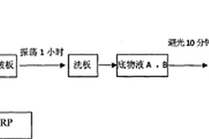 透明質(zhì)酸一步法化學(xué)發(fā)光定量檢測(cè)試劑盒