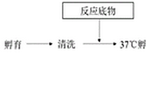 胃蛋白酶原I酶促化學(xué)發(fā)光檢測(cè)試劑盒及其制備方法與應(yīng)用