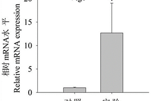 生物-化學(xué)聯(lián)合檢測(cè)再生水中微量雌激素內(nèi)分泌干擾化合物污染的方法