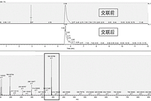 基于化學(xué)蛋白質(zhì)組學(xué)的激酶富集檢測方法