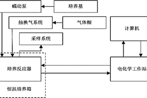 用于連續(xù)培養(yǎng)、采樣與實(shí)時(shí)檢測的微生物電化學(xué)系統(tǒng)