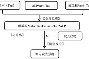 用于檢測Tau蛋白(TAU)的磁微粒分離化學發(fā)光免疫測定法