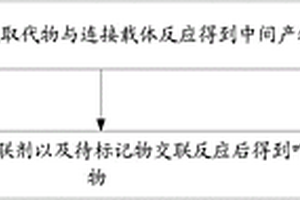 吖啶標(biāo)記結(jié)合物及其制備方法、化學(xué)發(fā)光免疫檢測試劑盒