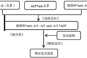 用于檢測β淀粉樣蛋白(Aβ)的磁微粒分離化學發(fā)光免疫測定法