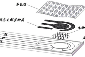 電化學(xué)生物傳感器、檢測方法及用途