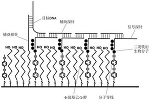 超靈敏的DNA電化學(xué)檢測(cè)方法、試劑以及系統(tǒng)