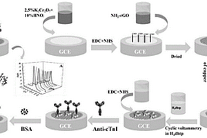 心肌肌鈣蛋白I的免標(biāo)記電化學(xué)傳感器制備方法及對cTnI的檢測方法