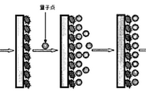 檢測痕量農(nóng)藥殘留物的分子印跡化學(xué)發(fā)光傳感器及其應(yīng)用