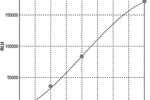 中樞神經(jīng)特異蛋白的化學(xué)發(fā)光酶聯(lián)免疫檢測試劑盒