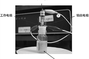 檢測水體毒性的雙信號生物電化學(xué)方法