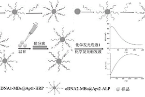 化學(xué)發(fā)光酶聯(lián)核酸適體同步檢測VEGF與CEA的方法