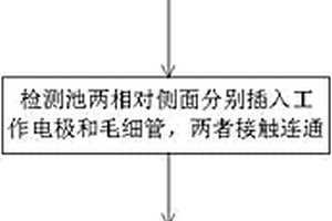 芯片毛細管電泳電化學(xué)檢測裝置的制作方法