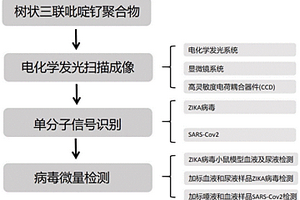 運用電化學(xué)發(fā)光掃描成像系統(tǒng)的新發(fā)病毒痕量檢測方法