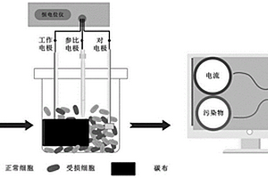 基于懸浮態(tài)電化學(xué)活性微生物實(shí)現(xiàn)水質(zhì)毒性快速檢測(cè)的方法