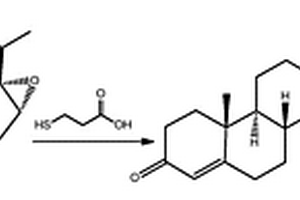 黃體酮的磁免疫化學(xué)發(fā)光檢測(cè)試劑盒及其應(yīng)用