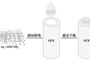 用于檢測氯離子的電化學(xué)傳感器電極及其制備方法和應(yīng)用