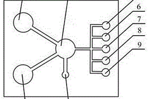 用于心衰標(biāo)志物B型利鈉肽檢測(cè)的微流控光電化學(xué)傳感器的制備方法