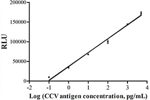 犬冠狀病毒化學(xué)發(fā)光檢測試劑的制備及使用方法