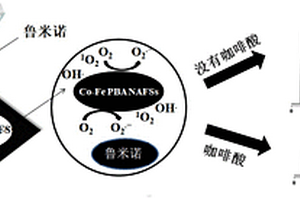 基于紙基質(zhì)的魯米諾化學(xué)發(fā)光體系及檢測(cè)酚類抗氧化劑的方法