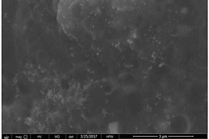 AFB<sub>1</sub>電化學(xué)免疫傳感器及其制備方法及其用于AFB<sub>1</sub>的檢測