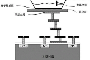 電化學(xué)傳感器及其制備方法、離子濃度檢測系統(tǒng)