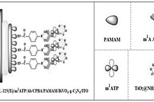 基于Ti-MOF的光電化學(xué)傳感器檢測N<sup>1</sup>-甲基腺嘌呤的方法