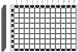 用于電化學免疫檢測的可拆卸微孔板