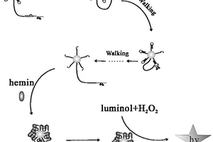 檢測啶蟲脒的化學(xué)發(fā)光傳感器及其制備方法