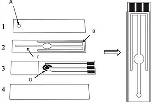 紙基電化學(xué)發(fā)光核酸即時檢測芯片及其制備方法與應(yīng)用