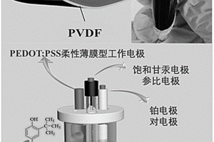 柔性薄膜型檢測叔丁基對苯二酚的電化學傳感器及其制備方法