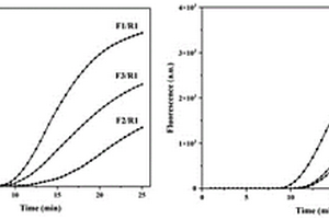 基于化學(xué)增強(qiáng)的CE-RAA-CRISPR快速檢測副溶血弧菌的方法