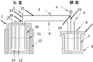 電化學(xué)檢測(cè)裝置及其處理方法和用途